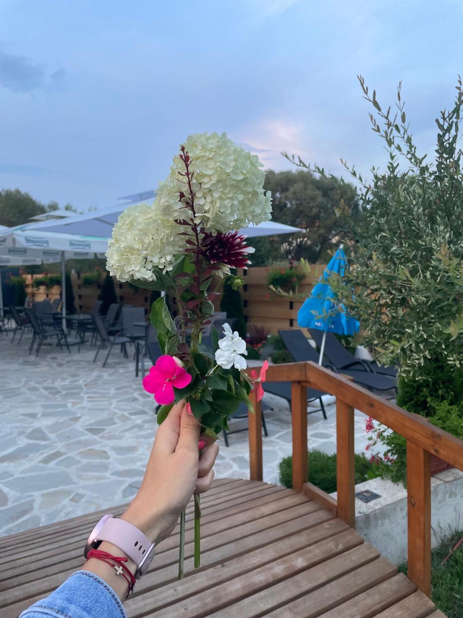 Villa Pino Velingrad Eksteriør billede