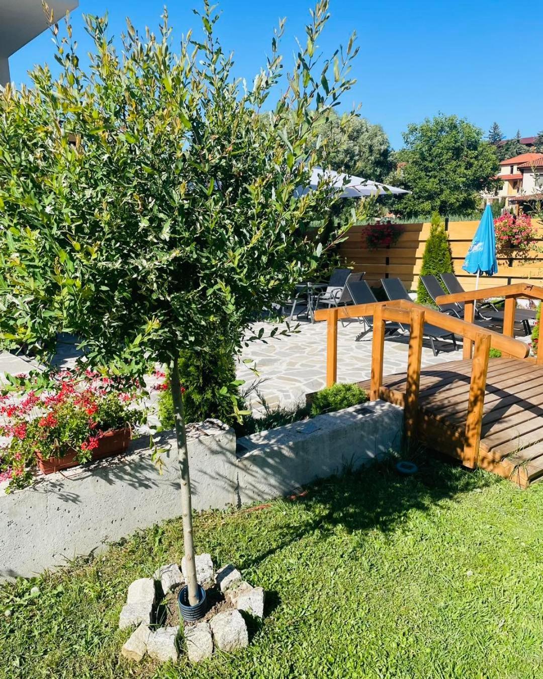 Villa Pino Velingrad Eksteriør billede
